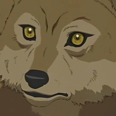 Toboe from Wolf's Rain