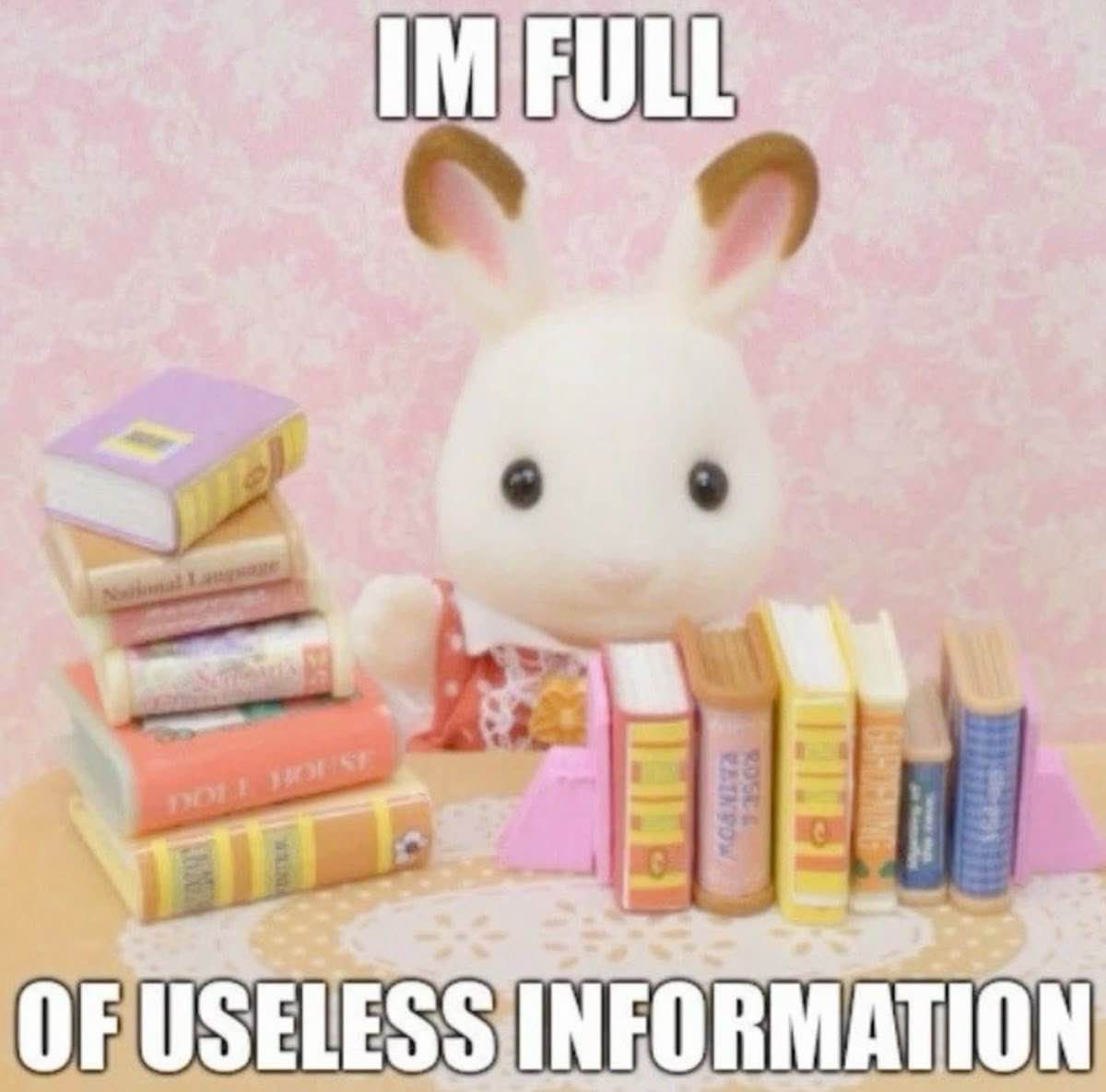 sylvanian family bunny meme saying im full of useless information