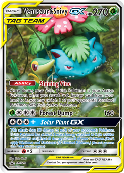 snivy & venusaur